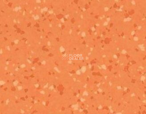 Taralay Premium Brazilia 8157 Goias фото 1 | FLOORDEALER